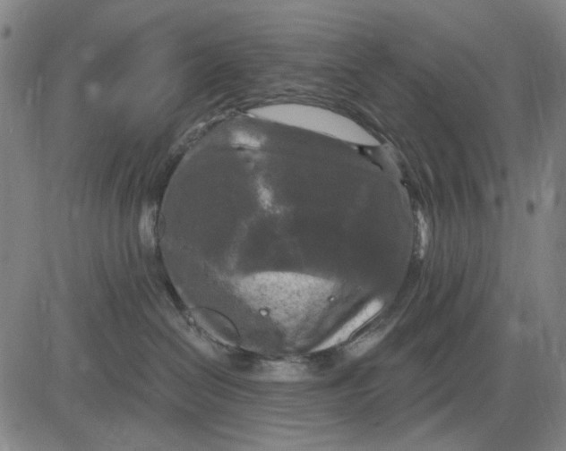 X0000083650286200703051734