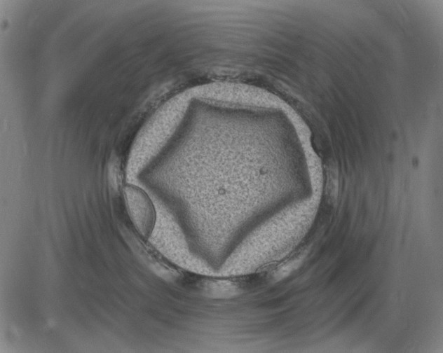 X0000083650287200703051734