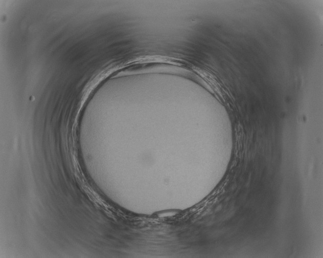 X0000083650289200703051733