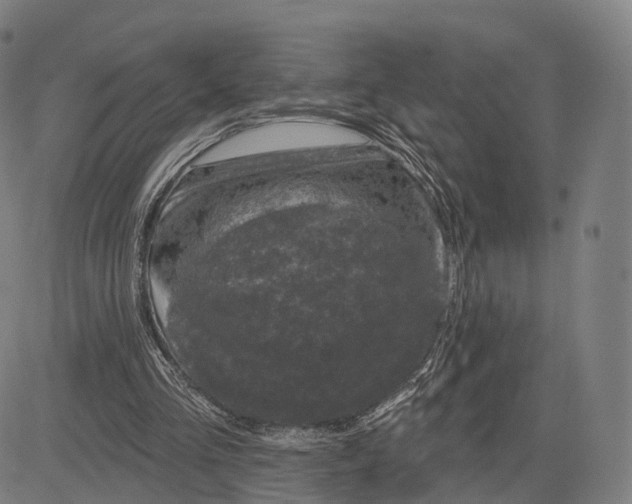 X0000083650293200703051733