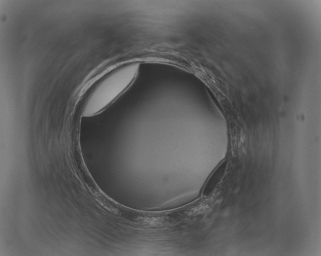 X0000083650295200703051733