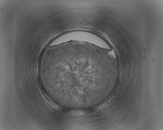 X0000083650299200703051733