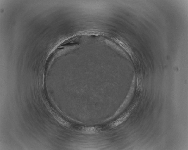 X0000083650301200703051733