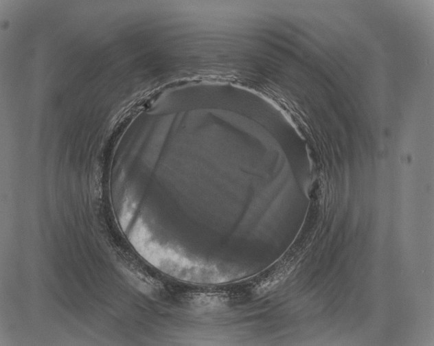 X0000083650303200703051733