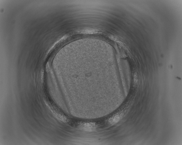 X0000083650304200703051733