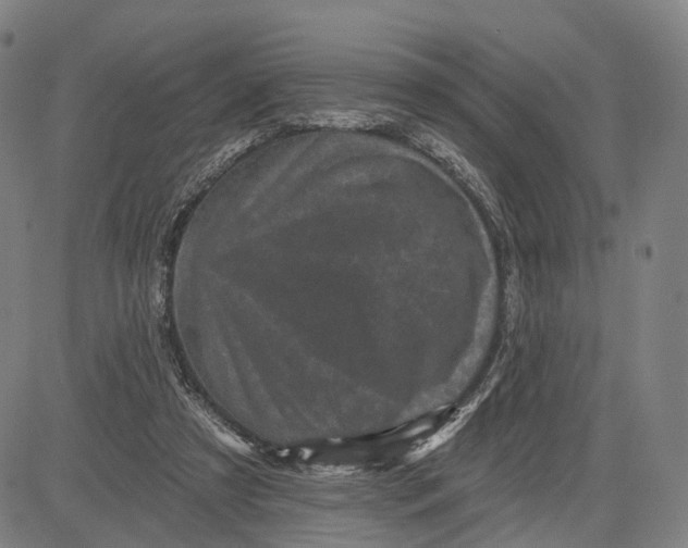 X0000083650305200703051733