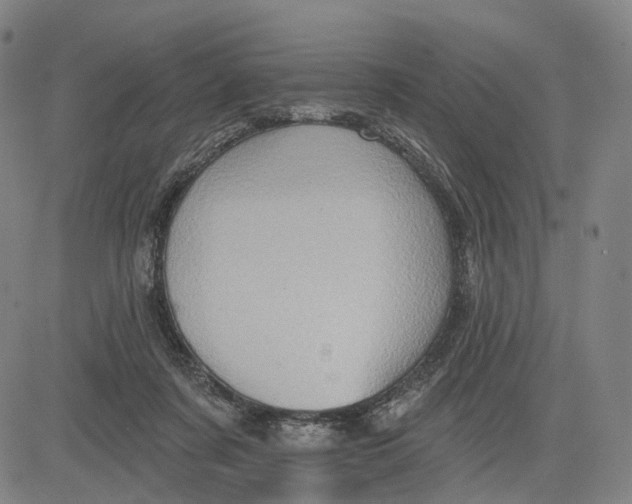 X0000083650311200703051733