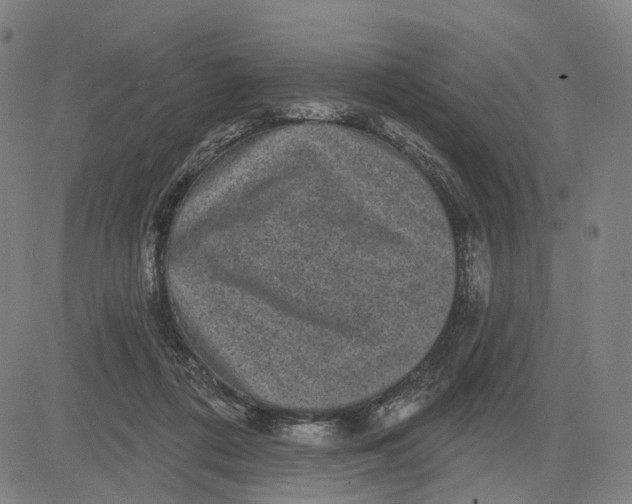 X0000083650312200703051733