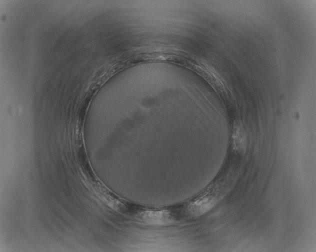X0000083650314200703051733