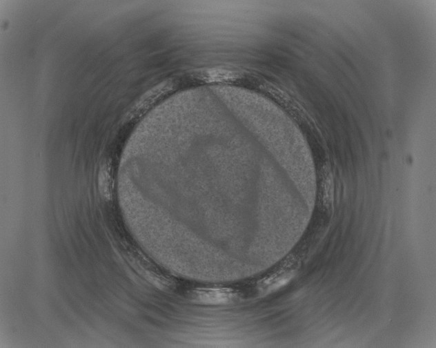 X0000083650316200703051733