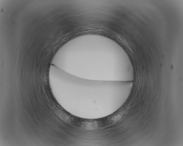 X0000083650317200703051733