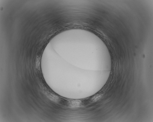 X0000083650318200703051733