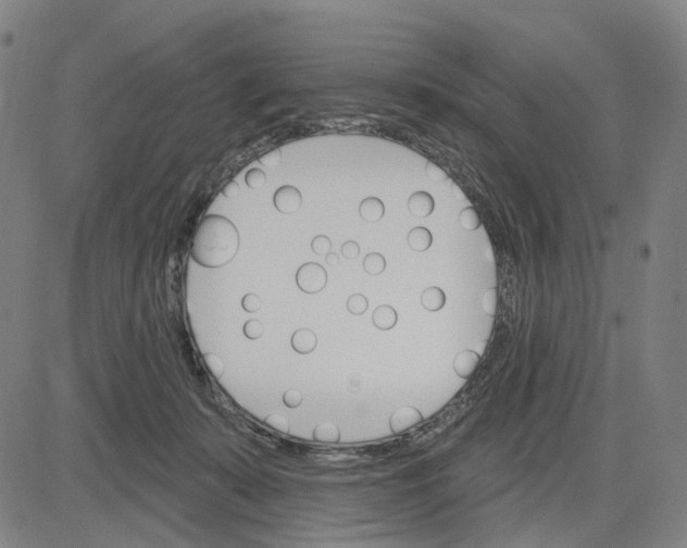 X0000083650319200703051733