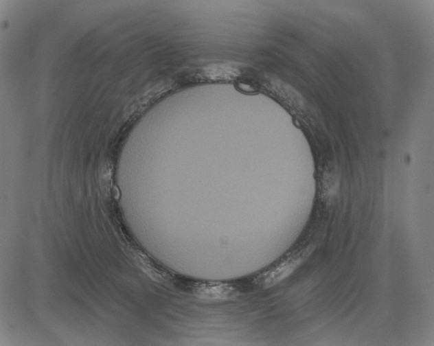 X0000083650321200703051733