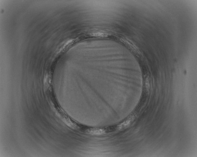 X0000083650322200703051733