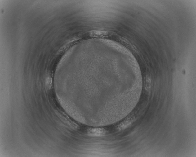 X0000083650324200703051733