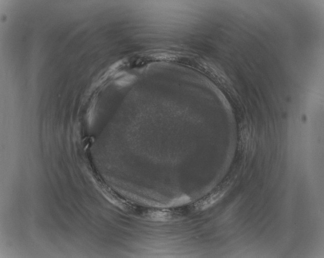 X0000083650325200703051733