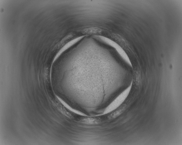 X0000083650326200703051733