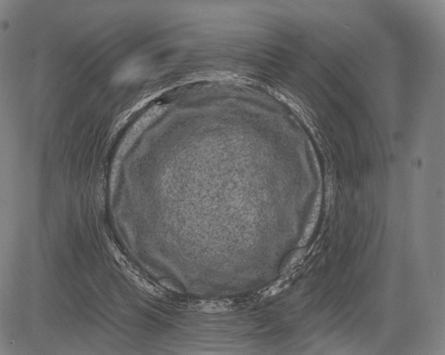 X0000083650345200703051732