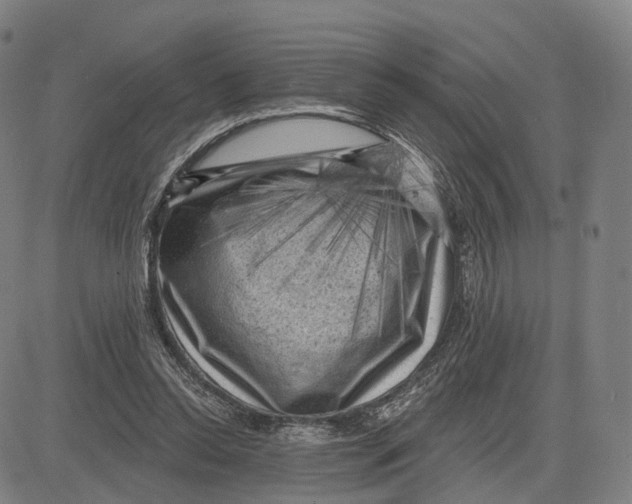X0000083650350200703051732