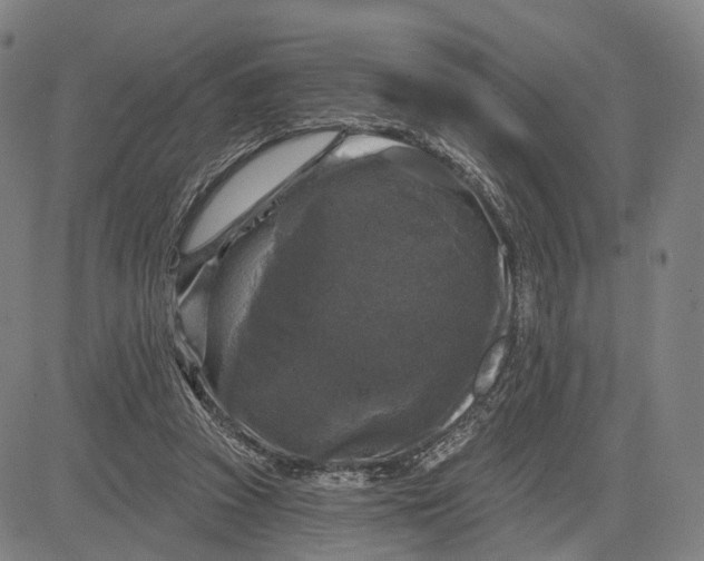 X0000083650353200703051732