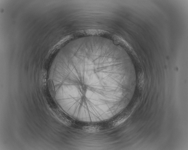 X0000083650356200703051732