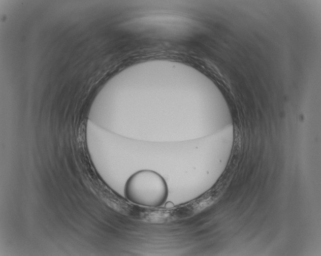 X0000083650366200703051732