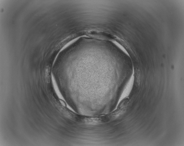 X0000083650378200703051732