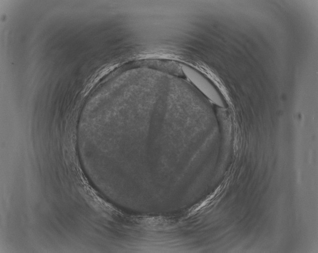 X0000083650385200703051732
