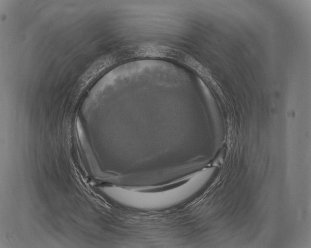 X0000083650386200703051732