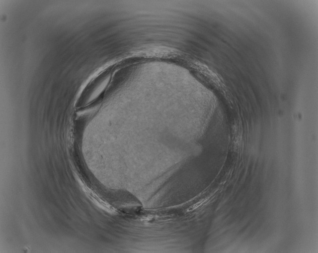 X0000083650392200703051732