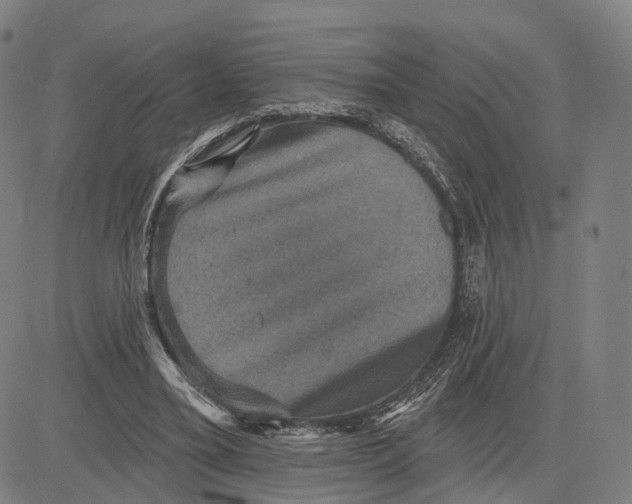 X0000083650395200703051731