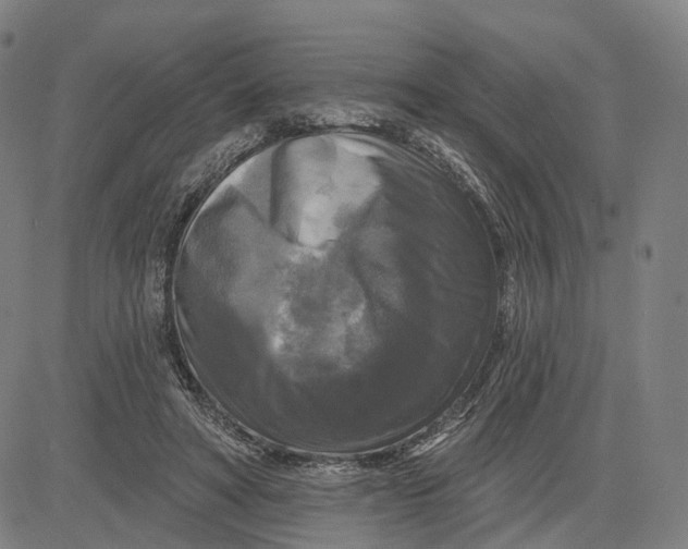 X0000083650402200703051731