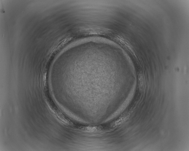 X0000083650406200703051731
