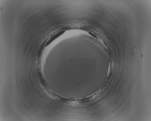 X0000083650411200703051731
