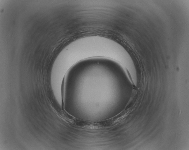 X0000083650412200703051731
