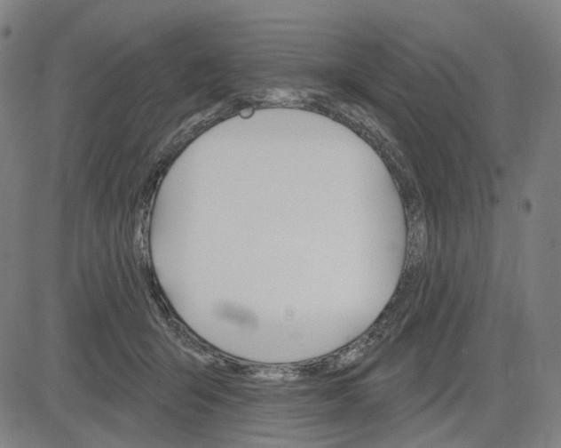 X0000083650415200703051731