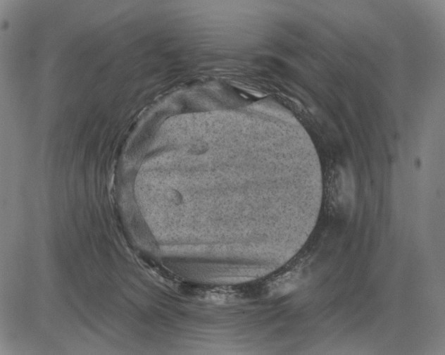 X0000083650420200703051731