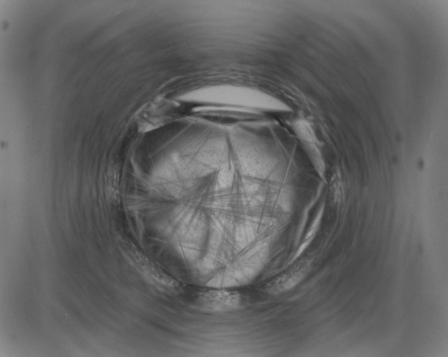 X0000083650421200703051731
