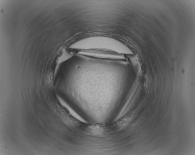 X0000083650425200703051731