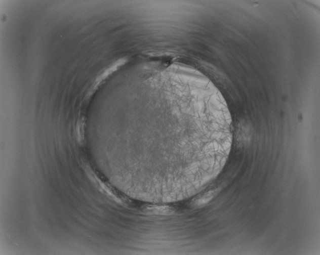 X0000083650428200703051731