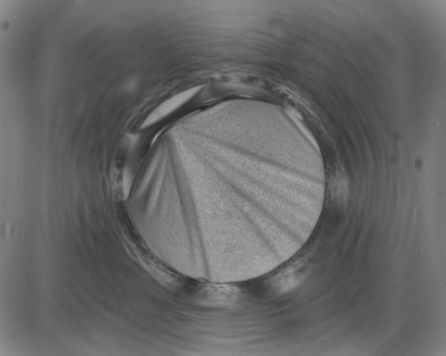 X0000083650429200703051731