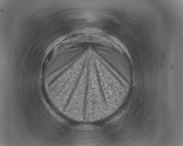 X0000083650437200703051730