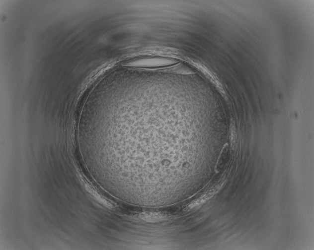 X0000083650445200703051730