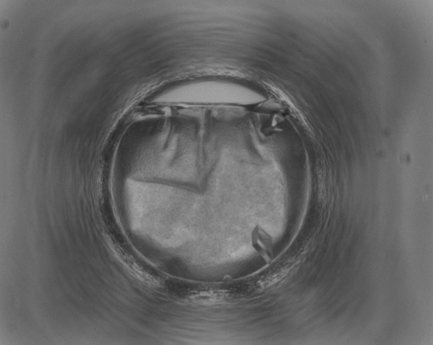 X0000083650447200703051730