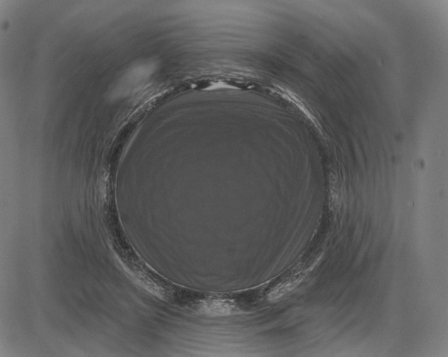 X0000083650451200703051730