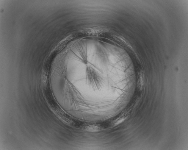 X0000083650456200703051730