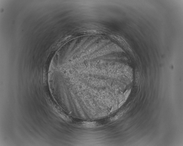 X0000083650457200703051730