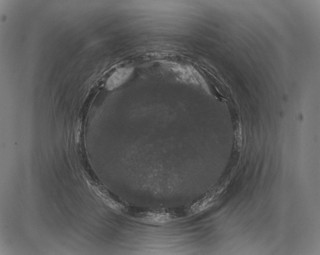 X0000083650458200703051730