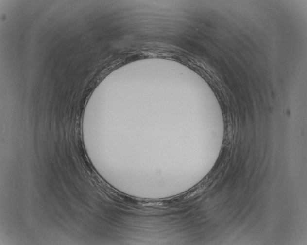 X0000083650461200703051731
